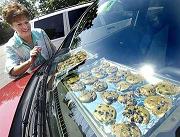 dashboard cookies