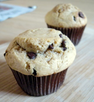 peanut butter muffins with chocolate chips