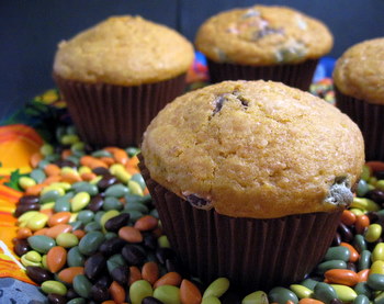 Pumpkin Muffins with Chocolate Covered Sunflower Seeds