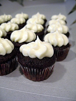 Mini Chocolate Cupcakes, up close and personal