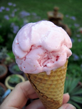 Fresh Strawberry Frozen Yogurt, coned