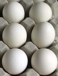 Carton of Large Eggs