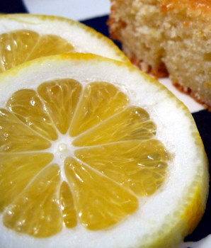Meyer lemon slices