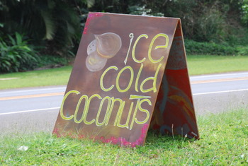 Ice Cold Coconuts