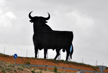 Roadside Bull in Spain