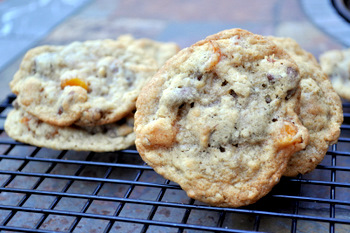 Aprict Chocolate Chip Oatmeal Cookies