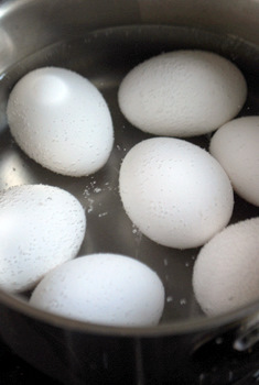 Eggs in simmering water