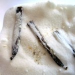 Vanilla Beans in Sugar