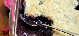 Blueberry Pudding Cake