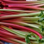 Rhubarb