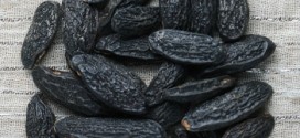 What are Tonka Beans?