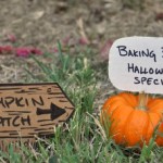 Baking Bites' Halloween Special!