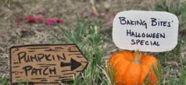 Pumpkin Pie: A Horror Story (video)