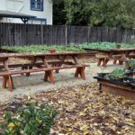 Addendum Benches