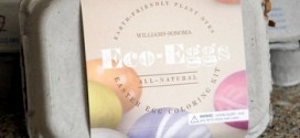 Williams Sonoma Eco-Eggs Egg Coloring Kit, reviewed