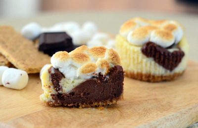 S'mores Mini Cheesecakes, cut in half