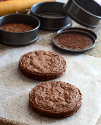 Dark Chocolate Brownies baked in Mini Springform Pans