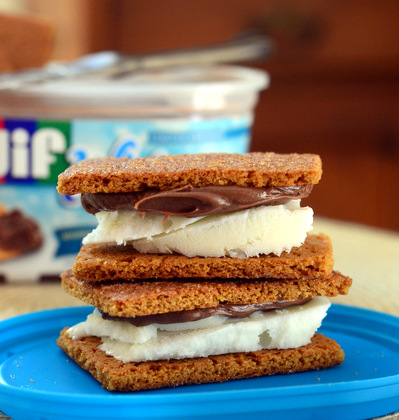Peanut Butter & S'mores Ice Cream Sandwiches