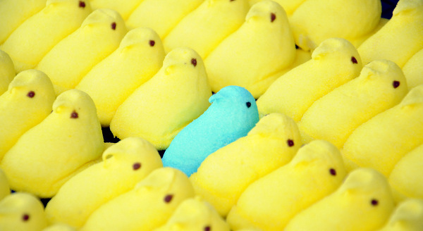 10 Fun Facts about Peeps!