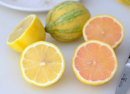 What are Pink Lemons?