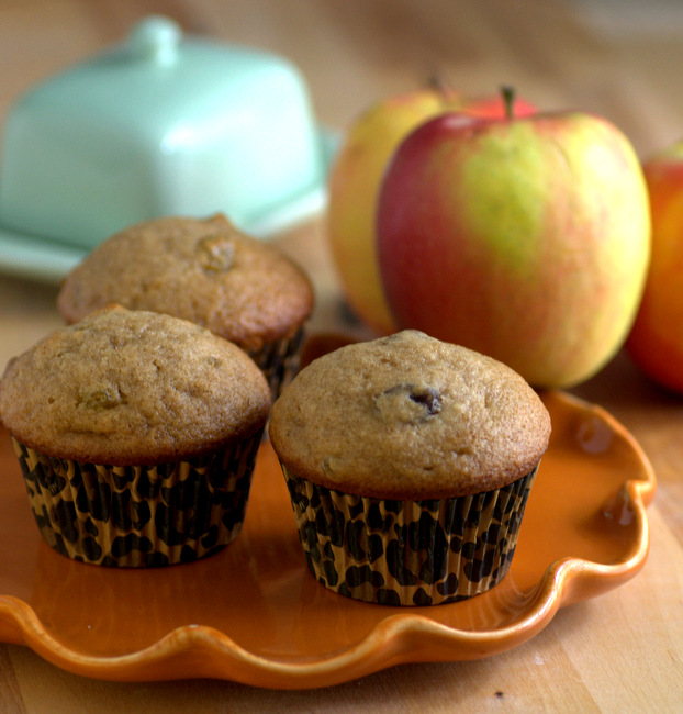 Applesauce Spice Muffins with Pecans and Raisins