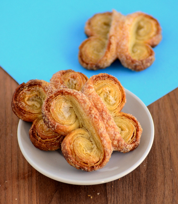 Butterfly Palmiers