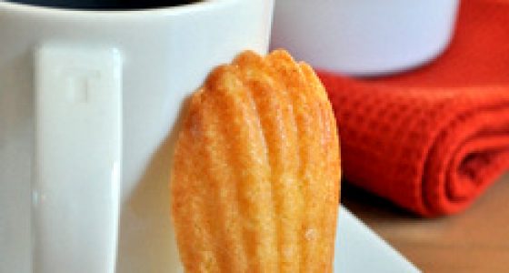 Vanilla Madeleines