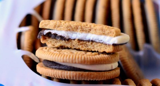 Limited Edition S’mores Oreos, reviewed